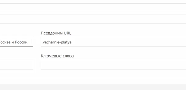 В   платформі для магазинів Дігістр   це параметр генерується автоматично з назви сторінки, або ви можете написати його російською мовою, а платформа застосує транслит